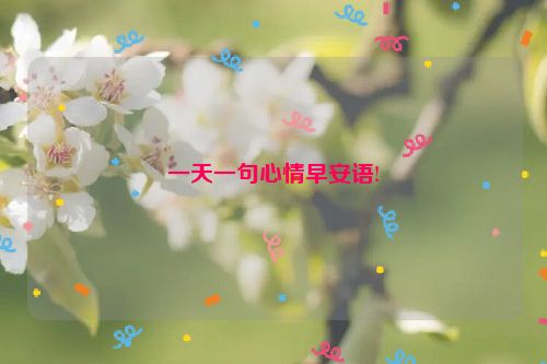 一天一句心情早安语!