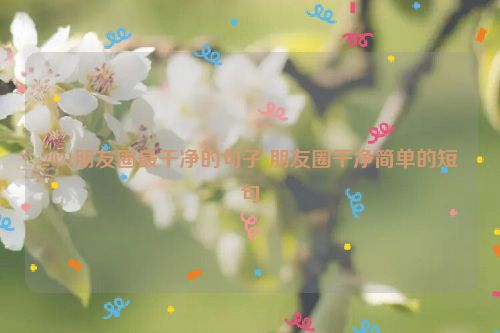 2021朋友圈最干净的句子 朋友圈干净简单的短句