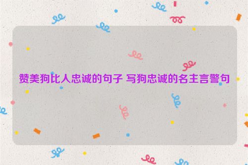 赞美狗比人忠诚的句子 写狗忠诚的名主言警句