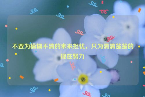 不要为模糊不清的未来担忧，只为清清楚楚的现在努力