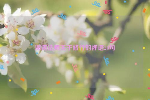 海涛法师关于修行的禅语20句