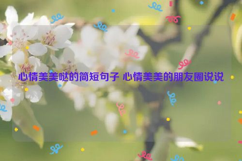 心情美美哒的简短句子 心情美美的朋友圈说说