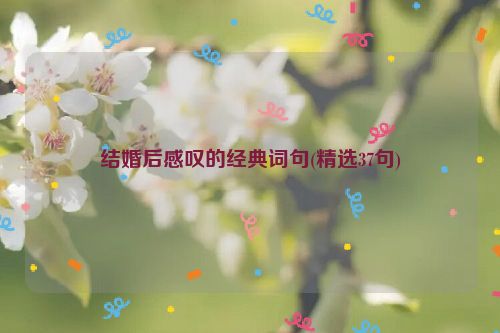 结婚后感叹的经典词句(精选37句)