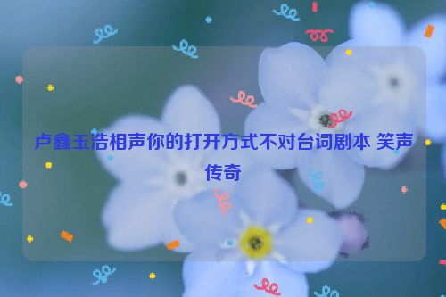 卢鑫玉浩相声你的打开方式不对台词剧本 笑声传奇