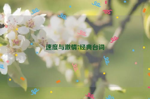 速度与激情7经典台词