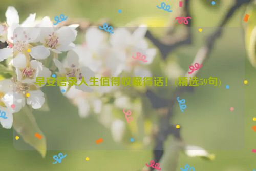 早安语录人生值得收藏得话！(精选59句)