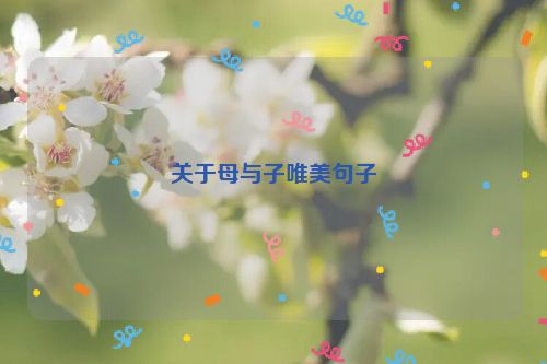 关于母与子唯美句子