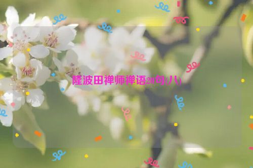 隆波田禅师禅语20句(八)