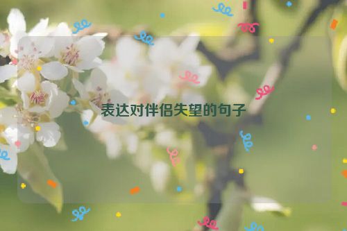 表达对伴侣失望的句子