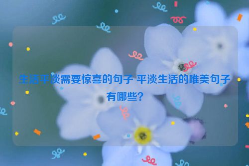 生活平淡需要惊喜的句子 平淡生活的唯美句子有哪些？