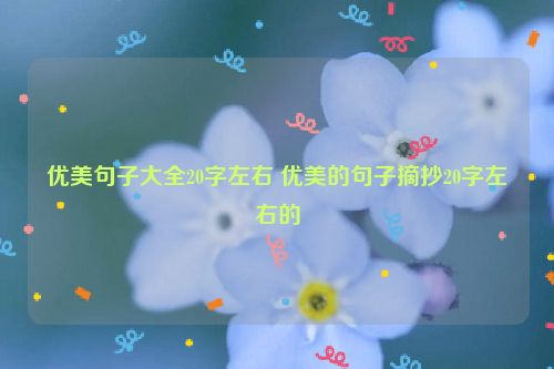 优美句子大全20字左右 优美的句子摘抄20字左右的