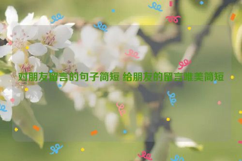 对朋友留言的句子简短 给朋友的留言唯美简短