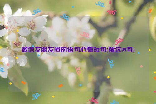 微信发朋友圈的语句心情短句(精选99句)