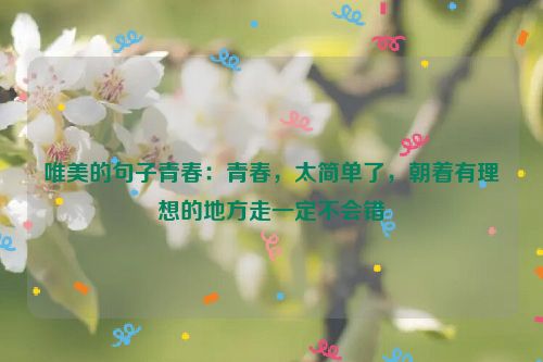 唯美的句子青春：青春，太简单了，朝着有理想的地方走一定不会错