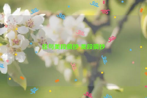 佳句美段摘抄 美段摘抄