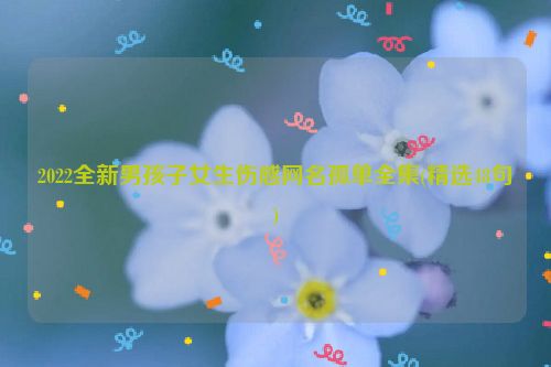 2022全新男孩子女生伤感网名孤单全集(精选48句)