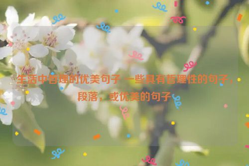 生活中哲理的优美句子 一些具有哲理性的句子，段落，或优美的句子