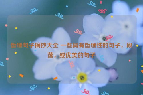 哲理句子摘抄大全 一些具有哲理性的句子，段落，或优美的句子
