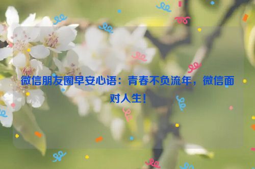 微信朋友圈早安心语：青春不负流年，微信面对人生！