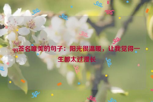 qq签名唯美的句子：阳光很温暖，让我觉得一生都太过漫长