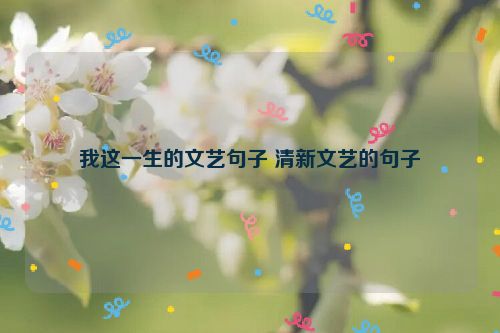 我这一生的文艺句子 清新文艺的句子