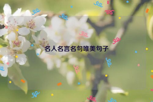 名人名言名句唯美句子