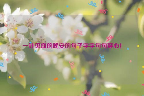 一针见血的晚安的句子字字句句穿心！