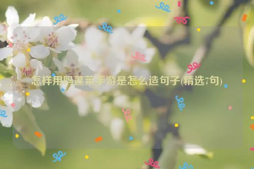 怎样用吗蓬莱手游是怎么造句子(精选7句)