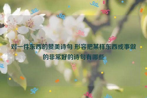 对一件东西的赞美诗句 形容把某样东西或事做的非常好的诗句有哪些