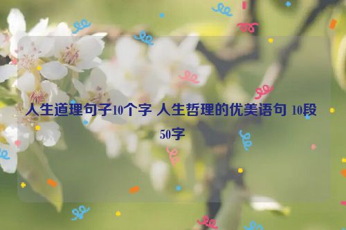 人生道理句子10个字 人生哲理的优美语句 10段 50字