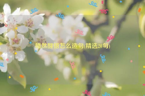 幡然醒悟怎么造句(精选20句)