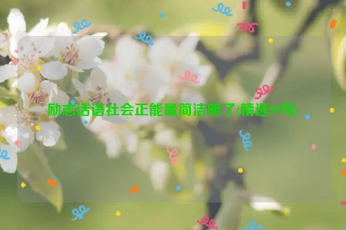 励志话语社会正能量简洁明了(精选99句)