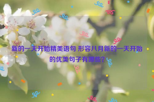 新的一天开始精美语句 形容八月新的一天开始的优美句子有哪些？