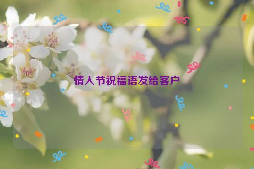 情人节祝福语发给客户