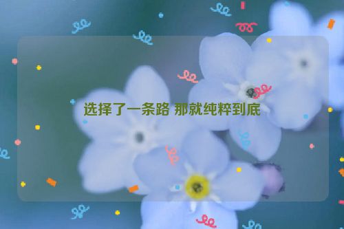 选择了一条路 那就纯粹到底