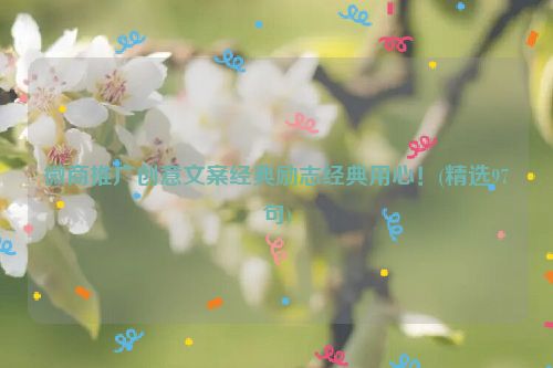 微商推广创意文案经典励志经典用心！(精选97句)