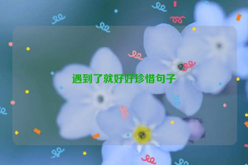 遇到了就好好珍惜句子