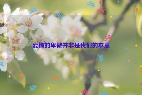 爱情的卑微并非是我们的本意