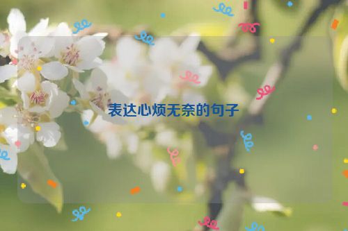 表达心烦无奈的句子