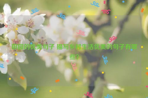 田园的优美句子 描写乡村生活优美的句子有哪些？
