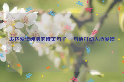 表达爱情纯洁的唯美句子 一句话打动人心爱情