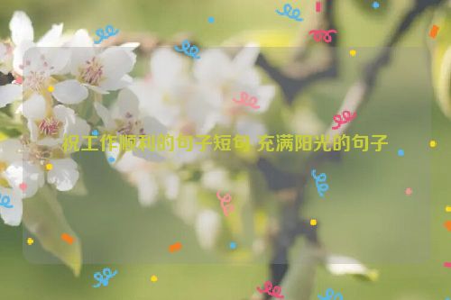 祝工作顺利的句子短句 充满阳光的句子