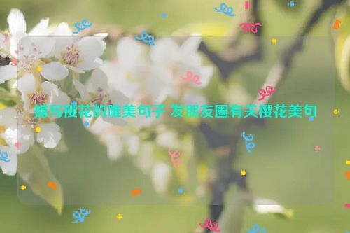 描写樱花的唯美句子 发朋友圈有关樱花美句