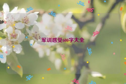 军训感受600字大全