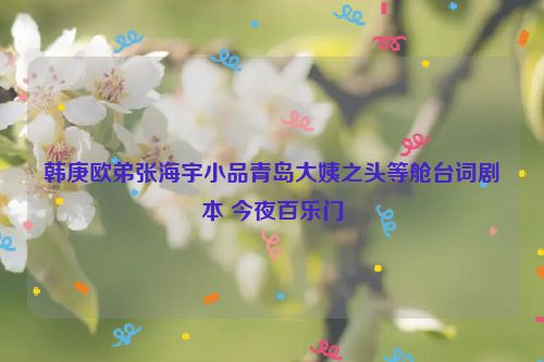 韩庚欧弟张海宇小品青岛大姨之头等舱台词剧本 今夜百乐门
