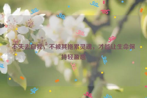 不失去自我，不被其拖累灵魂，才能让生命保持轻盈感