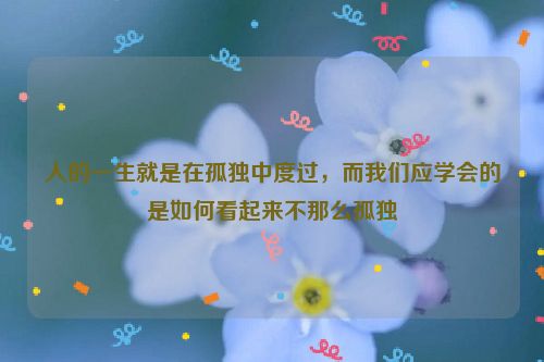 人的一生就是在孤独中度过，而我们应学会的是如何看起来不那么孤独