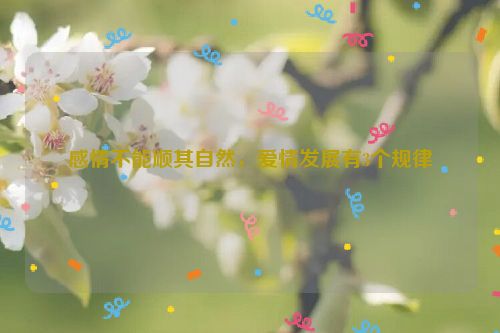 感情不能顺其自然，爱情发展有3个规律