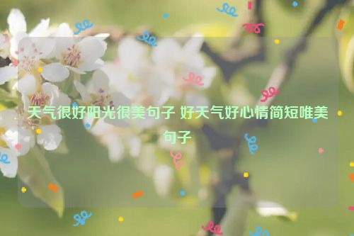 天气很好阳光很美句子 好天气好心情简短唯美句子