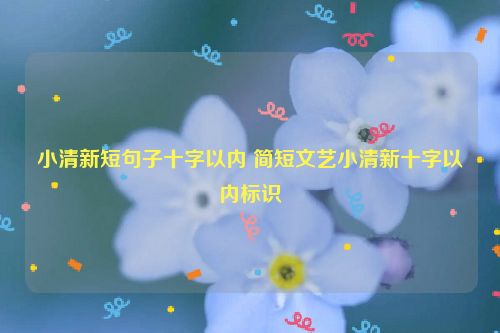 小清新短句子十字以内 简短文艺小清新十字以内标识